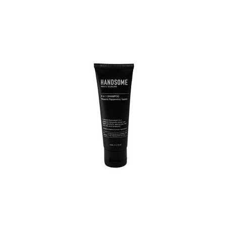 HANDSOME 2 IN 1 SHAMPOO PEPPERMINT 50ML