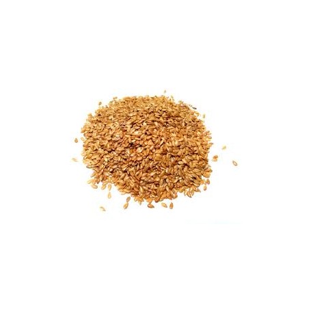 LINSEED GOLDEN