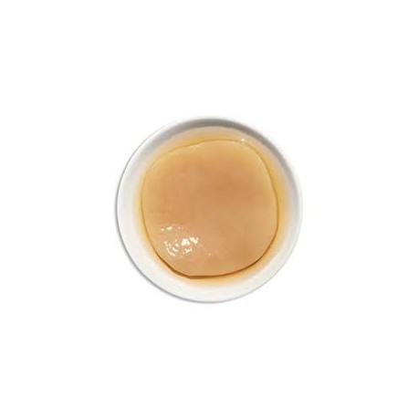 FLO KOMBUCHA SCOBY & STARTER TEA 200ML