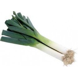 LEEKS