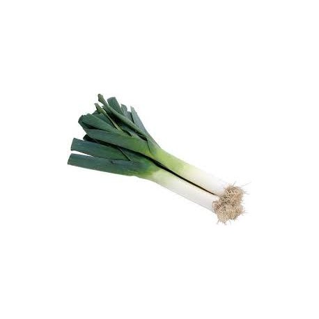 LEEKS