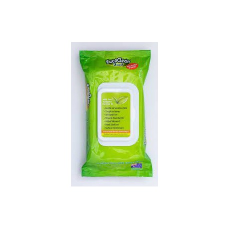 EUCOCLEAN ANTIBACTERIAL WIPES 60PK