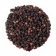 HEALING CONCEPTS ELDERBERRIES 50G