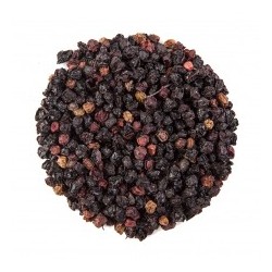 HEALING CONCEPTS ELDERBERRIES 50G