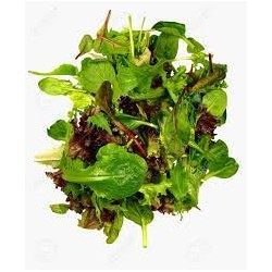 MIXED BABY SALAD LEAVES LOOSE