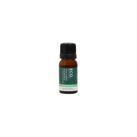 ECO AROMA BLUE MALLEE EUCALYPTUS ESSENTIAL OIL PURE 10ML