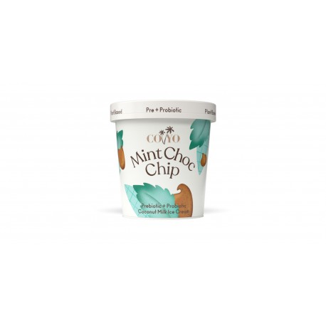 COYO MINT CHOC CHIP 500ML