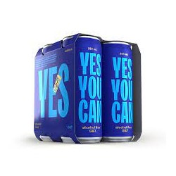 YES YOU CAN G & T 4 X 250ML