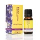 ECO AROMA CLARITY AND FOCUS ESSENTIAL OIL BLEND 10ML