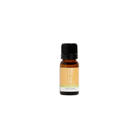 ECO AROMA LEMON MYRTLE PURE ESSENTIAL OIL 10ML