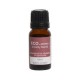 ECO AROMA ANXIETY BLEND ESSENTIAL OIL 10ML