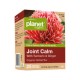 PLANET ORGANIC JOINT CALM TEA WITH TURMERIC AND GINGER 25 TEA BAGS 30G