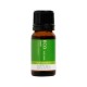 ECO AROMA BASIL PURE ESSENTIAL OIL 10ML