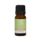 ECO AROMA DIGESTIVE ESSENTIAL OIL BLEND 10ML