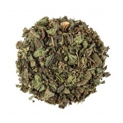 HEALING CONCEPTS NETTLE TEA 40G