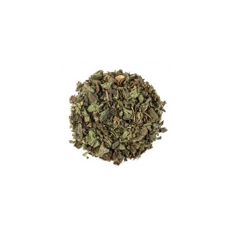 HEALING CONCEPTS NETTLE TEA 40G