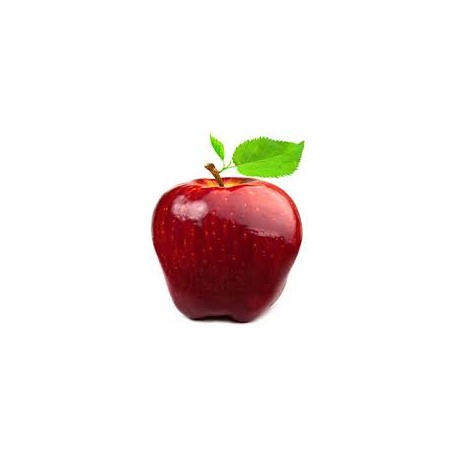 APPLE RED DELICIOUS