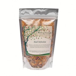 HEALING CONCEPTS SOUL INFUSION TEA 40G