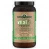 VITAL PROTEIN VEGAN HAMP AND PEA BLEND 500G