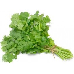 CORIANDER