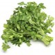 FLAT LEAF PARSLEY