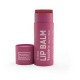 NOOSA BASICS LIP BALM RASPBERRY TINTED 15G