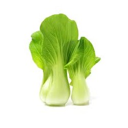 BOK CHOY