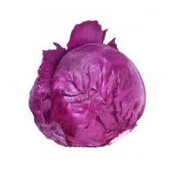 CABBAGE RED WHOLE