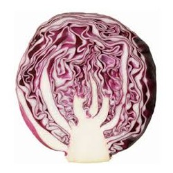 RED CABBAGE 1/2