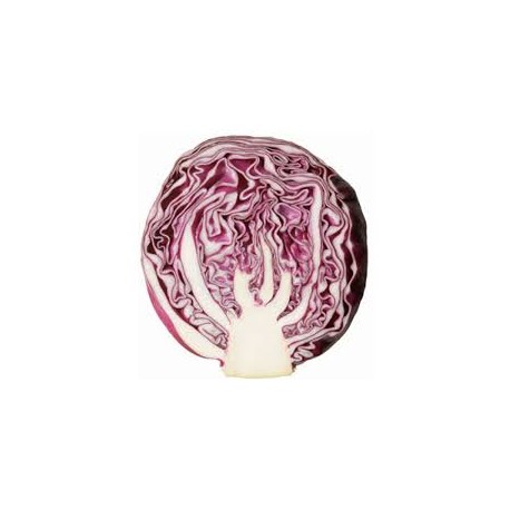 RED CABBAGE 1/2