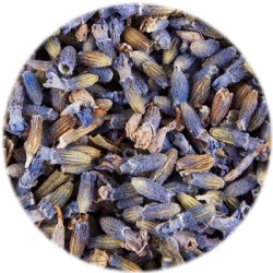 HEALING CONCEPTS LAVENDER 50G