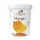 COYO ORGANIC COCONUT YOGHURT ALTERNATIVE MANGO 500GM