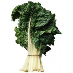 SILVERBEET
