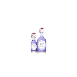 JIVA KOMBUCHA BLUEBERRY 750ML