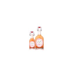 JIVA WATERMELON MINT KOMBUCHA 750ML