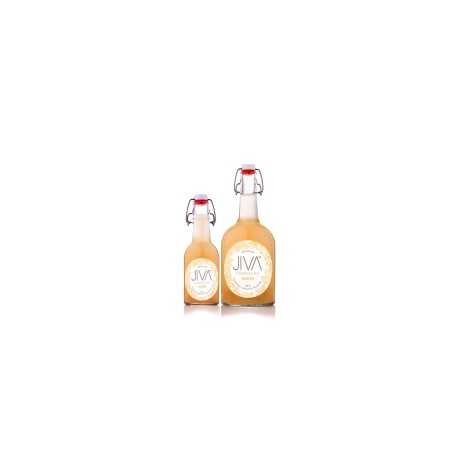 JIVA GINGER KOMBUCHA 750ML