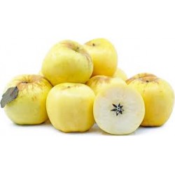 GOLDEN DELICIOUS APPLES