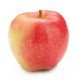 APPLE PINK LADY