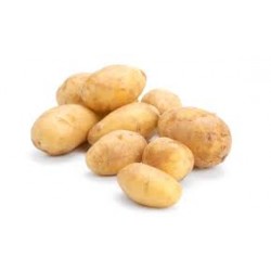 POTATO NICOLA WASHED