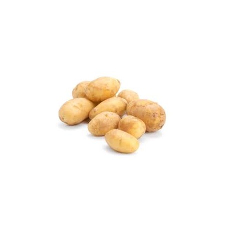 POTATO NICOLA WASHED
