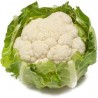 CAULIFLOWER WHOLE