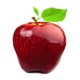 APPLE RED DELICIOUS