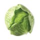 CABBAGE GREEN WHOLE