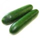 LEBANESE CUCUMBER