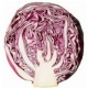 RED CABBAGE 1/2