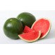 SEEDLESS WATERMELON PER KG