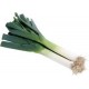 LEEKS