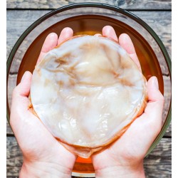 KOMBUCHA LARGE SCOBY 300ML TEA