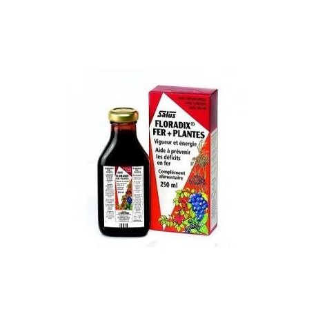 FLORADIX FORMULA LIQUID HERBAL IRON EXTRACT 250ML